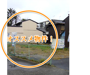 ��Îs�G�̓��̃I�X�X�������ʐ^